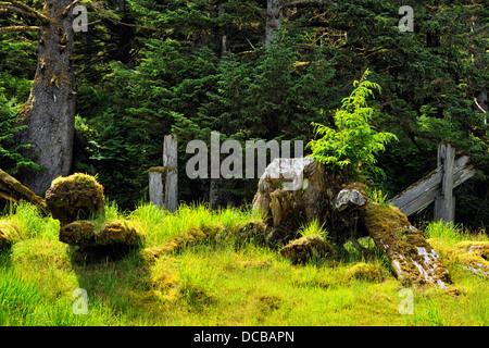 SGang Gwaay Island Gwaii Haanas National Park Remains 6-beam Chief's longhouse Haida Gwaii Queen Charlotte Islands BC Canada Stock Photo