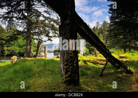 SGang Gwaay Island Gwaii Haanas National Park Remains 6-beam Chief's longhouse Haida Gwaii Queen Charlotte Islands BC Canada Stock Photo