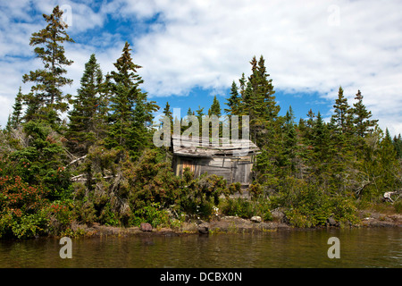 Abandoned wood shack on the shore of Bailey Island, Isle Royale National Park, Michigan, United States of America Stock Photo