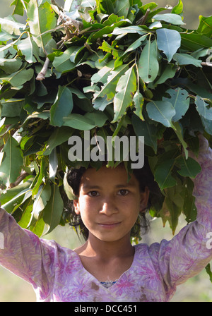 Beautiful young Tharu girl carrying leaf fodder on her head for her livestock, Terai region in Nepal Stock Photo