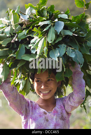 Beautiful young Tharu girl smiling and carrying leaf fodder on her head for her livestock, Terai region in Nepal Stock Photo