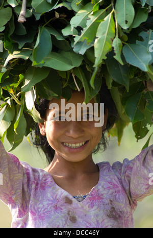 Beautiful young Tharu girl smiling and carrying leaf fodder on her head for her livestock, Terai region in Nepal Stock Photo