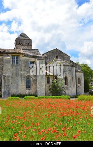 Saint Paul-de-Mausole, St. Remy Provence France   Vincent van Gogh monastery, poppy field Stock Photo