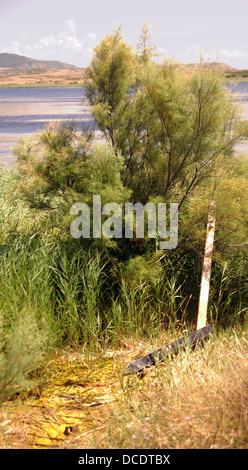 Pitillas Lagoon In Navarra Spain Stock Photo - Alamy