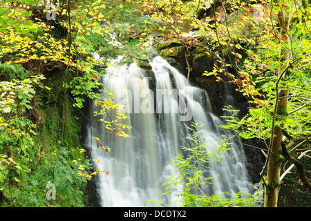 May Beck as it flows over a rock face and forms a waterfall called Falling Foss in Sneaton Forest Stock Photo