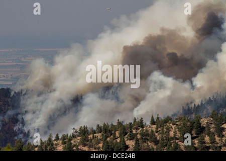 USA, Colorado, Boulder, Flagstaff Fire, Smoke from the Forest Fire. Stock Photo