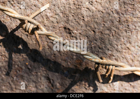 Barbed wire close up Stock Photo