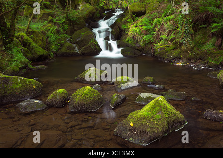 Black Pool, Colly Brook near Peter Tavy. Dartmoor national park, Devon Uk Stock Photo