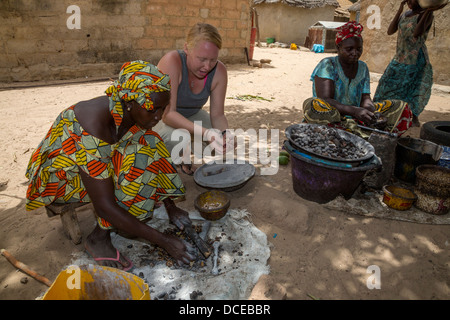 Peace Corps Volunteer Working with Village Woman Removing Hulls from Cashew Nuts.  Near Sokone, Senegal. Serer Ethnic Group. Stock Photo