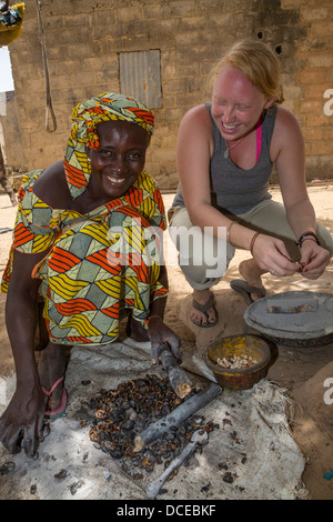 Peace Corps Volunteer Working with Village Woman Removing Hulls from Cashew Nuts.  Serer Ethnic Group. Stock Photo