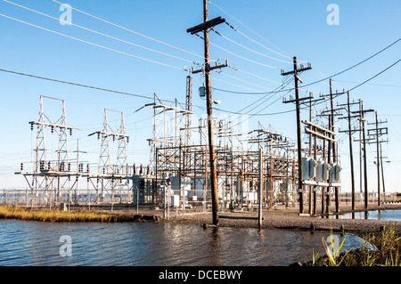 USA, Louisiana, Atchafalaya Basin, Leeville. Stock Photo