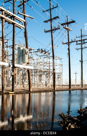 USA, Louisiana, Atchafalaya Basin, Leeville. Stock Photo