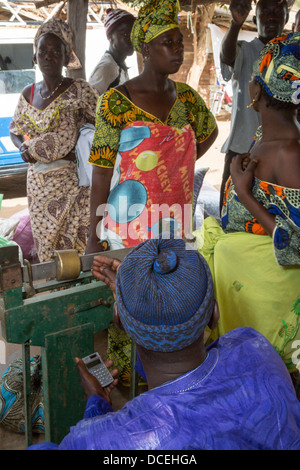 Cashew Nut Buyer Weighing Nuts, Fass Njaga Choi, The Gambia. Stock Photo