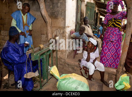 Cashew Nut Buyer Weighing Nuts, Fass Njaga Choi, The Gambia. Stock Photo