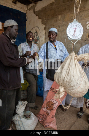 Cashew Nut Buyer Weighing Nuts, Paying Seller, Fass Njaga Choi, The Gambia. Stock Photo