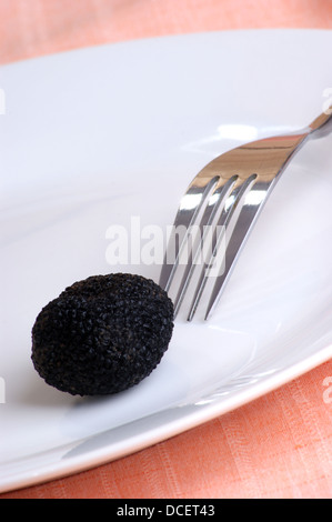 one organic summer truffle on a plate Stock Photo