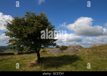 Cairn D on Carbane West, Loughcrew passage tombs complex, dating back to approximately 3500 and 3300 B.C. County Meath Ireland