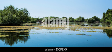 Danube river Delta, beautiful landscape, one of the local channels near Tulcea, Romania, Dobrogea, UNESCO Biosphere Reserve Stock Photo