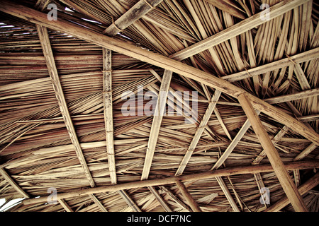 dried palm tree leaves palapa roof and beams view from under Stock Photo