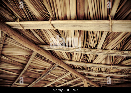 dried palm tree leaves palapa roof and beams view from under Stock Photo