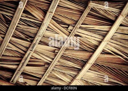 dried palm tree leaves palapa roof and beams view from under Stock Photo