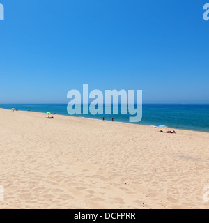 Beautiful tropical beach with bathers relaxing on an expanse of golden sand alongside a calm blue ocean in the summer sun Stock Photo