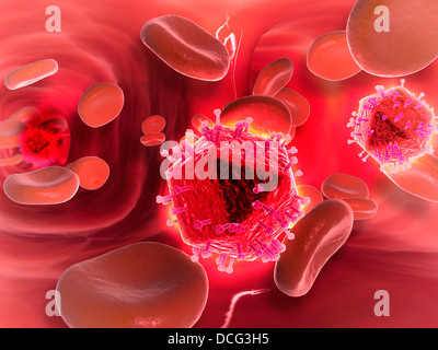 Microscopic view of HIV virus inside the lungs. Stock Photo