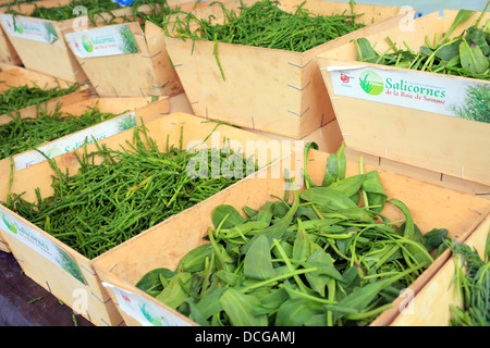 Foraged vegetables (samphire and sea purslane) on market stall in Rue Marcel Holleville, Mers Les Bains, Somme, Picardy, France Stock Photo