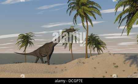 Large Brachiosaurus roaming an tropical climate landscape. Stock Photo