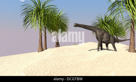 Large Brachiosaurus in a tropical environment. Stock Photo