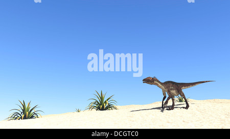 Utahraptor in a desert landscape. Stock Photo