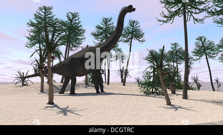 Large Brachiosaurus in a tropical environment. Stock Photo