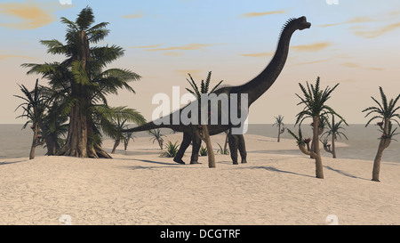 Large Brachiosaurus in a tropical environment. Stock Photo