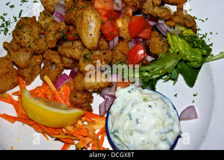 Deep fried calamari squid grated carrot lettuce arugula salad tzatziki sauce appetizer Stock Photo