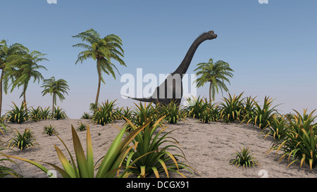 Large Brachiosaurus roaming a prehistoric environment. Stock Photo