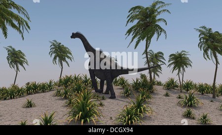 Large Brachiosaurus roaming a prehistoric environment. Stock Photo