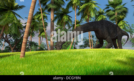 Large Brachiosaurus grazing in a tropical climate. Stock Photo