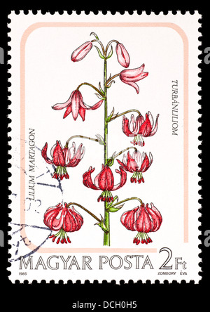 Postage stamp from Hungary depicting a Martagon or Turk's cap lily (Lilium martagon) Stock Photo