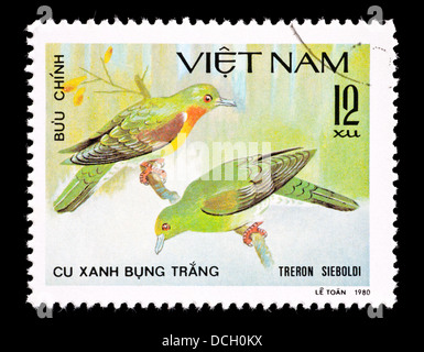 Postage stamp from Vietnam depicting  White-bellied Green Pigeon (Treron sieboldii) Stock Photo