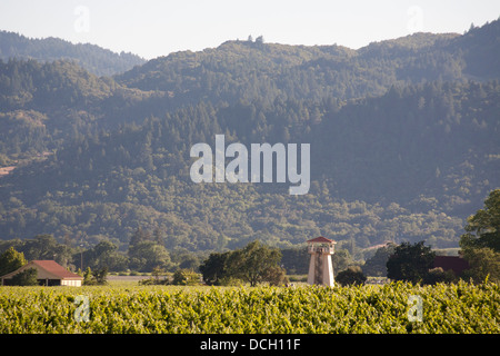 Napa Valley Vineyard Views Stock Photo