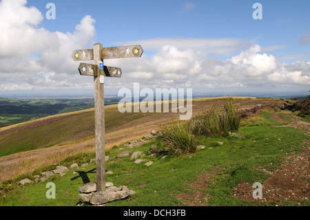 Old wood sign post on Moel Famau Clwydian Range Offas Dyke Path  North Wales Cymru UK GB Stock Photo