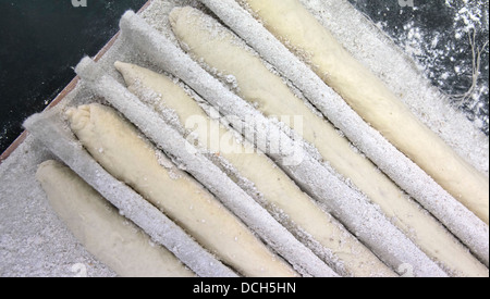 Yeast bread dough rises in a bakery Stock Photo