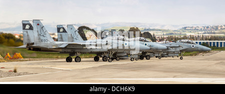 Panoramic view of a squadron of Israeli Air force (IAF) Fighter jet F-15 (BAZ) on the ground Stock Photo