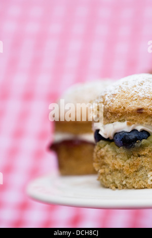 Homemade mini Victoria sandwich cakes on a checked background. Stock Photo