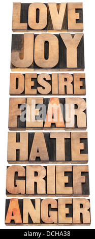 seven emotions - love, joy, desire, fear, hate, grief and anger - a collage of isolated words in letterpress wood type Stock Photo