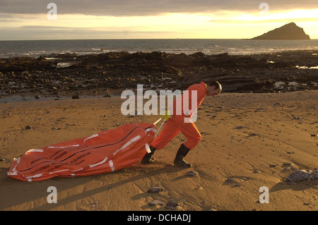 Rolf Williams of the National Marine Aquarium carrying a dead dolphin away from Wembury beach, Devon in a Dolphin body bag . Stock Photo