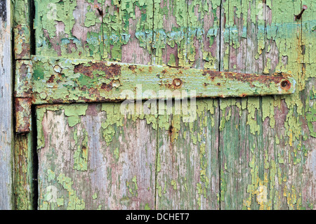 Rusty hinge on a weathered wooden shed door with flaking green paint Stock Photo