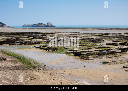 Oyster beds, Cancale, Brittany, Northern France, Europe Stock Photo