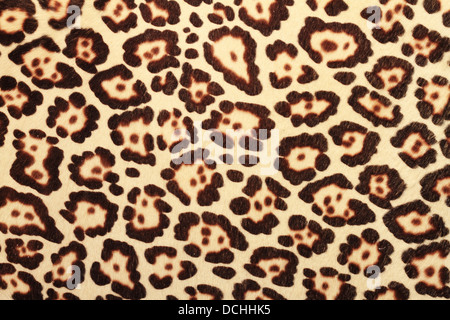 detailed pattern of real leopard fur Stock Photo