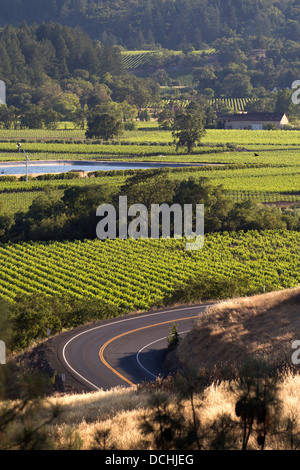 Napa Valley Vineyard Views Stock Photo